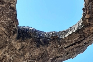 Desde Roma: Excursión guiada de un día a los Jardines de Tivoli y la Villa Adriana