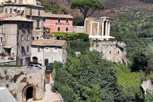 Desde Roma: Excursión guiada de un día a los Jardines de Tivoli y la Villa Adriana