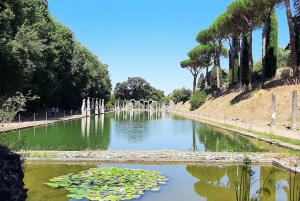 Desde Roma: Excursión guiada de un día a los Jardines de Tivoli y la Villa Adriana