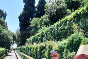 Desde Roma: Excursión guiada de un día a los Jardines de Tivoli y la Villa Adriana