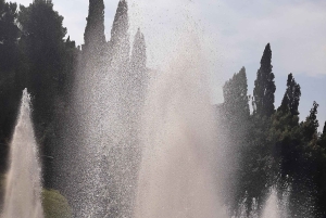 Desde Roma: Excursión guiada de un día a los Jardines de Tivoli y la Villa Adriana