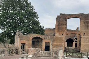 Desde Roma: Excursión guiada de un día a los Jardines de Tivoli y la Villa Adriana
