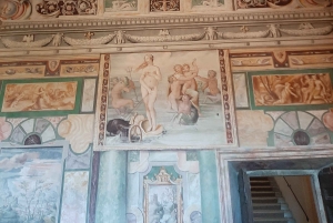 Desde Roma: Excursión guiada de un día a los Jardines de Tivoli y la Villa Adriana