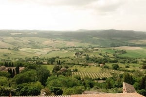 From Rome: Tuscan Medieval Towns & Winery Tour with Lunch