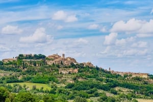 Från Rom: Guidad dagsutflykt till Toscana med lunch och vinprovning