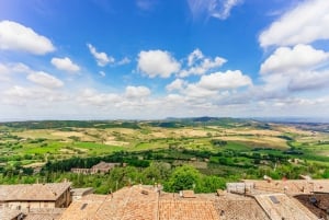 From Rome: Tuscany Day Trip with Lunch and Wine Tasting