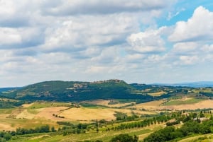 From Rome: Tuscany Guided Day Trip with Lunch & Wine Tasting