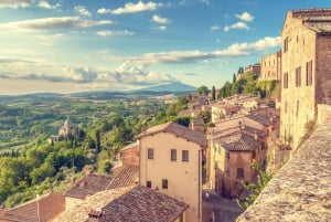 Da Roma: Colline toscane, degustazione di vini e pranzo a Montepulciano