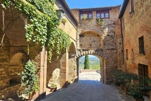 Da Roma: Colline toscane, degustazione di vini e pranzo a Montepulciano