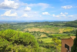 Da Roma: Colline toscane, degustazione di vini e pranzo a Montepulciano