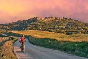 Da Roma: Colline toscane, degustazione di vini e pranzo a Montepulciano