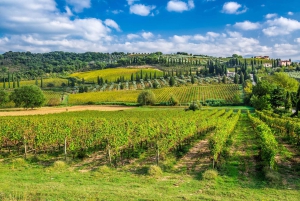 From Rome: Tuscany, Montepulciano Tour with Wine & Lunch