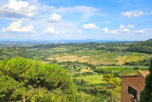 From Rome: Tuscany, Montepulciano Tour with Wine & Lunch