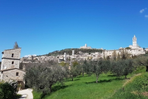 Da Roma: Tour di un giorno in Umbria, Assisi e Orvieto