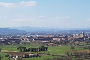 Da Roma: Tour di un giorno in Umbria, Assisi e Orvieto