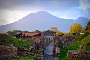 From Rome: Pompeii and Vesuvio Guided Day Trip with Lunch