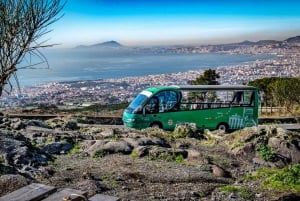 From Rome: Pompeii and Vesuvio Guided Day Trip with Lunch