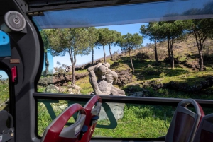From Rome: Pompeii and Vesuvio Guided Day Trip with Lunch