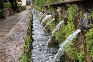 Von Rom aus: Villa d'Este & Hadrian's Villa Tickets & Transfer