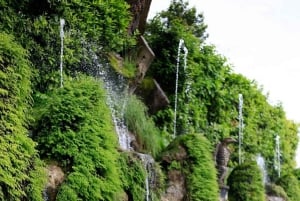 Von Rom aus: Villa d'Este & Hadrian's Villa Tickets & Transfer