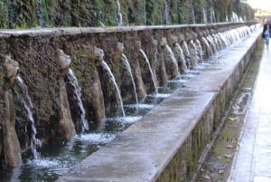 Von Rom aus: Villa d'Este & Hadrian's Villa Tickets & Transfer