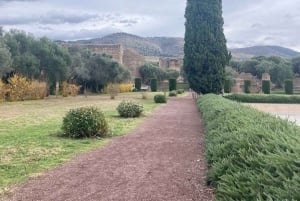 Von Rom aus: Villa d'Este & Hadrian's Villa Tickets & Transfer