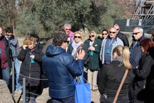 Vanuit Rome: dagtour Villa D'Este en Villa Tivoli van Hadrianus