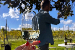 Vanuit Rome: wijnproeverij & lunch op de boerderij in de wijngaard