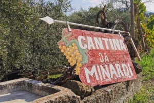 Vanuit Rome: wijnproeverij & lunch op de boerderij in de wijngaard