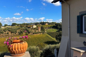 Vanuit Rome: wijnproeverij & lunch op de boerderij in de wijngaard