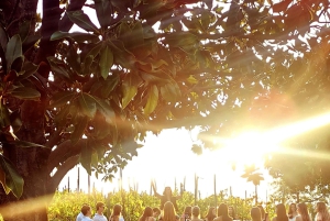 Vanuit Rome: wijnproeverij & lunch op de boerderij in de wijngaard