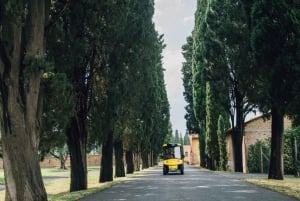Rome: Appian Way Golf Cart Tour with Roman Catacombs Entry