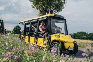 Rome: Appian Way Golf Cart Tour with Roman Catacombs Entry