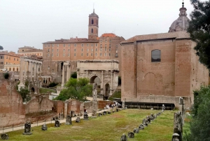 Visite guidée du Forum romain et de la colline du Palatin