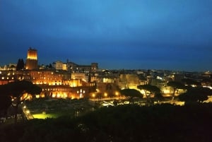 Visite guidée du Forum romain et de la colline du Palatin