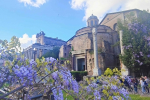 Visite guidée du Forum romain et de la colline du Palatin