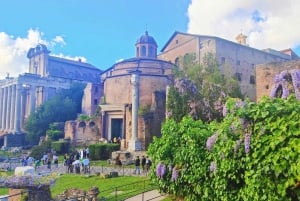 Visite guidée du Forum romain et de la colline du Palatin