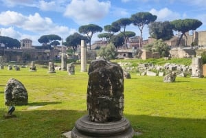 Visite guidée du Forum romain et de la colline du Palatin
