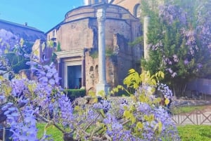 Visite guidée du Forum romain et de la colline du Palatin