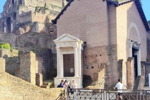 Visite guidée du Forum romain et de la colline du Palatin