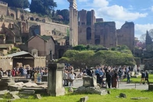 Visite guidée du Forum romain et de la colline du Palatin