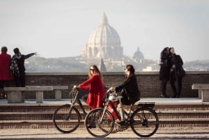 Half-Day Panoramic Tour by Electric-Assist Bicycle