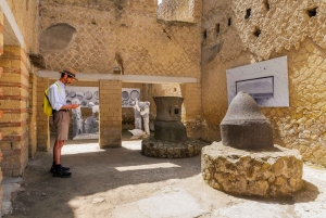 Visita guiada a Herculano con tren rápido desde Roma