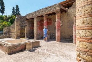 Visita guiada a Herculano con tren rápido desde Roma