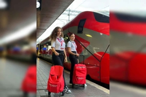 Visita guiada a Herculano con tren rápido desde Roma