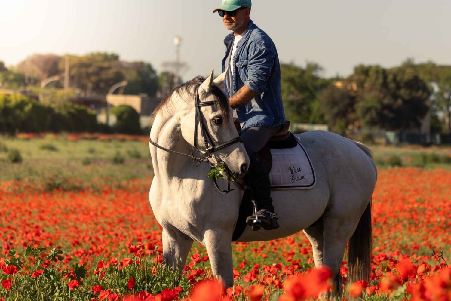 Hevosten suojelualue Roomassa