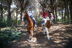 Horse Sanctuary in Rome