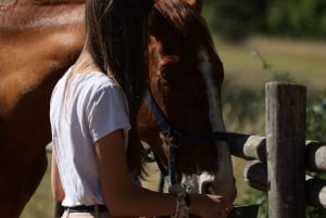 Horse Sanctuary in Rome