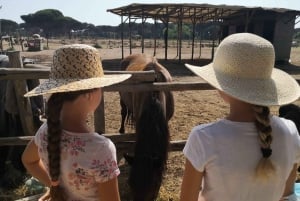 Horse Sanctuary in Rome