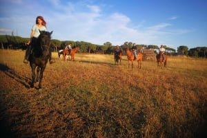 Horse Sanctuary in Rome